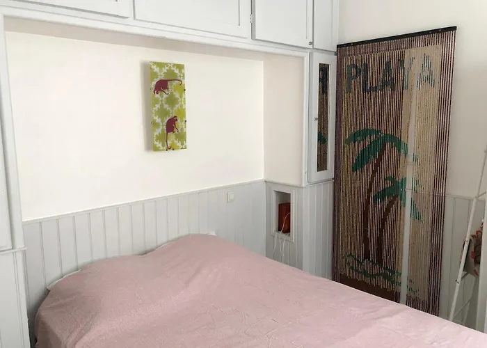 Timounyan T2 Centre Au Calme Animaux Acceptes Lejlighed