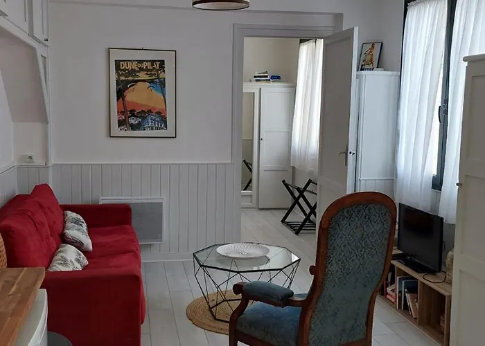 Timounyan T2 Centre Au Calme Animaux Acceptes Lejlighed Arcachon