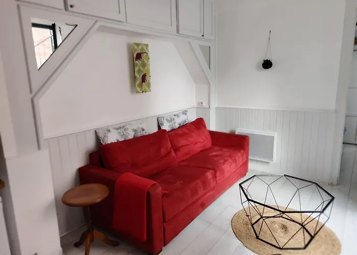 Timounyan T2 Centre Au Calme Animaux Acceptes Lejlighed